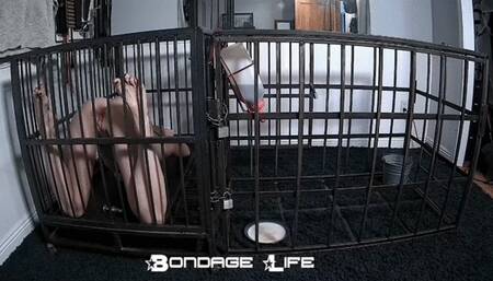 Some Long Term Quiet Time