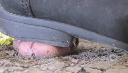 MB206 CBT-Black slipper-Dirt and flowers