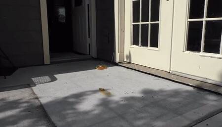 Don't forget the sauce