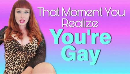 The Moment You Realize You Are Gay WMV SD