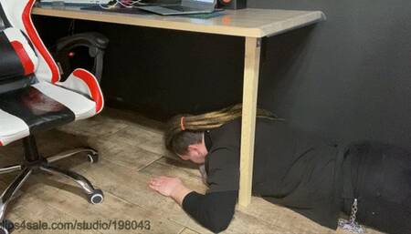 Ignore My foot-bitch and trample his hands while he's trying to kiss and lick My feet in Vans shoes