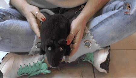 Stuffed Toy under Sneakers