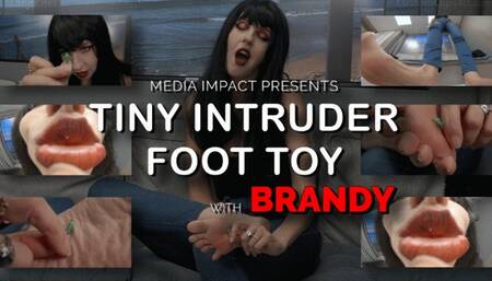 Tiny Intruder Foot Toy HD