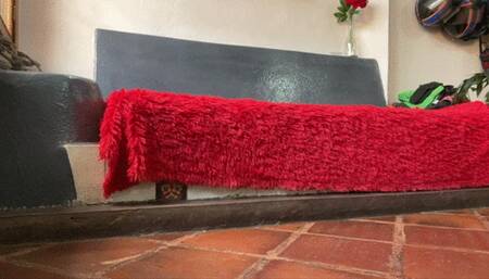 Balbina hard toe tapping on ballet flats 2