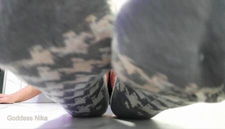 August Cum Socks Tax