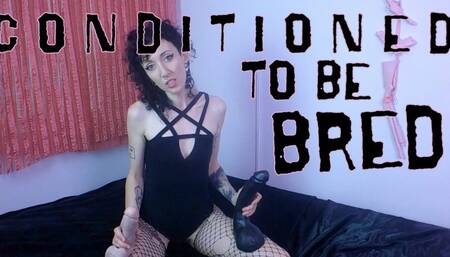 Conditioned to be bred