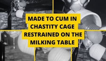 Made to cum in chastity cage restrained on the milking table