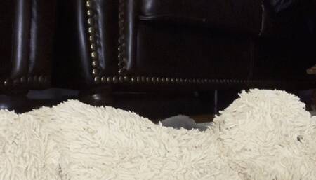 Naughty bunnies , like naughty boys need to be punished when they are bad Enjoy this 4 minute role-play of me disciplining my naughty bunny