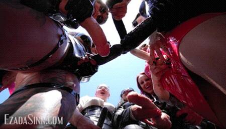 Cocks all around you