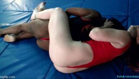 A Low Cat vs Lily Kat