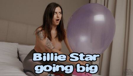 1427 Billie Star going big