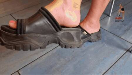 Biscuits under cruel Buffalo Mules