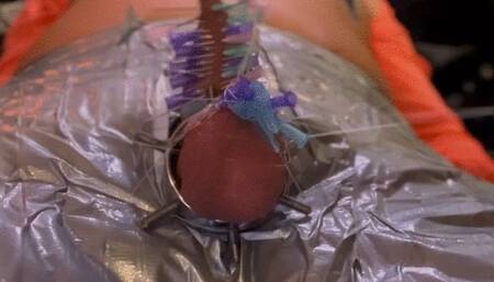 Mistress TIRZA make this CBT with piercings to show you can make Art out of Dick CBT