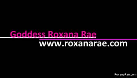 Suck My Sweaty Socks