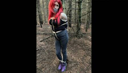 Shelly _Freyja Tied To a Tree mp4