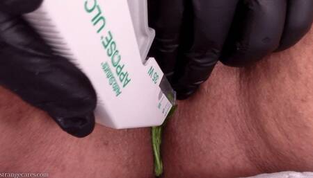 stapled shut and stuffed full of nettles (720 wmv)