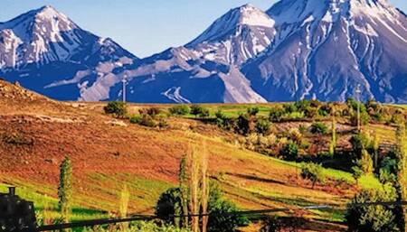 Tiny Humans Ride on Train 1080