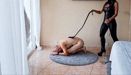 If you are not useful to me, I whip you