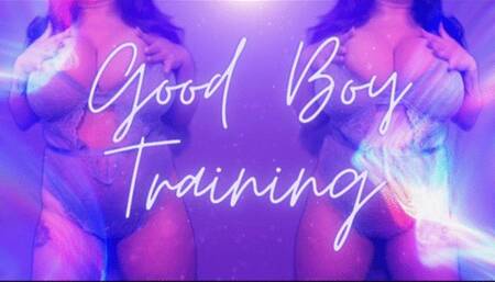 Good Boy Training