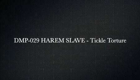 Harem Slave - Tickled  HPDP-029 - HD