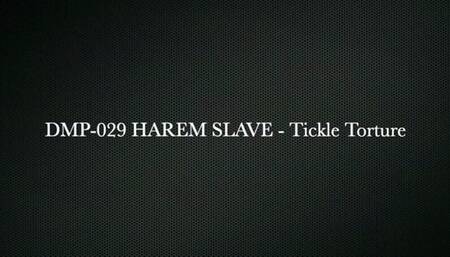 Harem Slave - Tickled pt 1 wmv HPDP-029 - HD