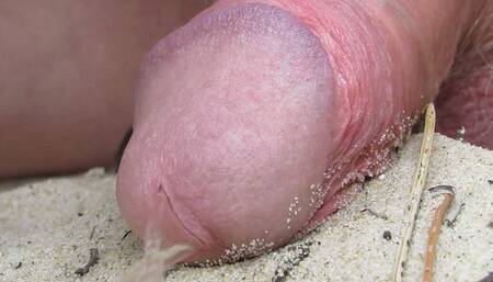 Close-up Public Pee on Beach