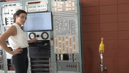 Sunshine Attempts to Inflate a Rubber Chicken (MP4 - 1080p)