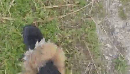 Outdoor Mistress part 1