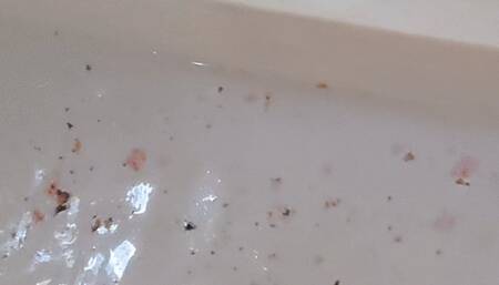 Sexy Bathtime Viewing