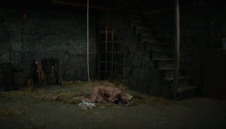 Blonde witch is hoisted up again and again to be whipped