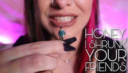 Honey I Shrunk Your Friends