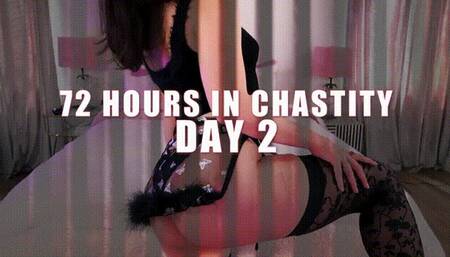 72HRS In Chastity: D2