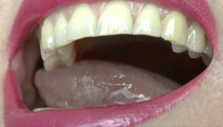 Biting gummy bear MP4 HD 720p