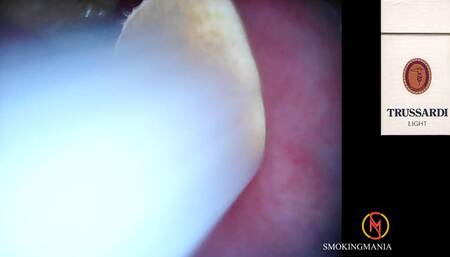 Trussardi Lights 100s inside