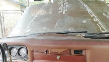 Diana Senior Hard Pedal Pumping and Cranking fight with the stubborn old wagoneer