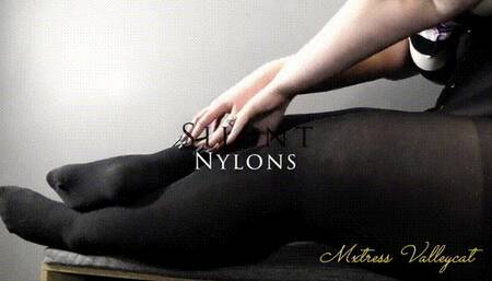 Silent Nylons (wmv)