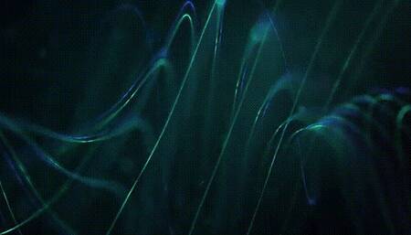 Sexy Goddess PITS *mp4*