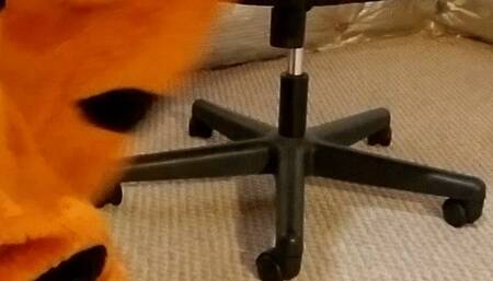 Fang Paws, Socks, and Barefeet