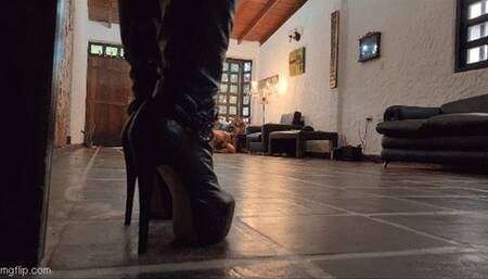 Punishment and Reward by Goddess Joanna