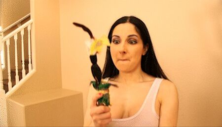 Montana Jane & the Idol of Slavery WMV