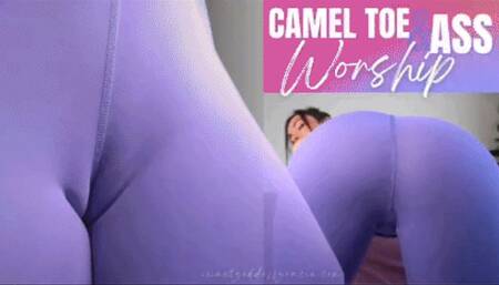 Camel Toe & Ass Worship