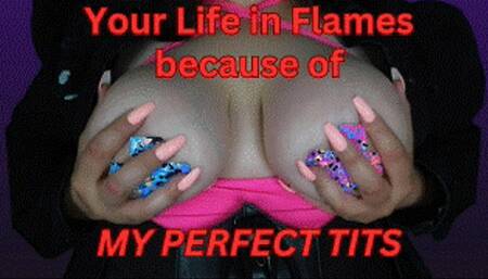 Your Life in Flames because of My Perfect Tits