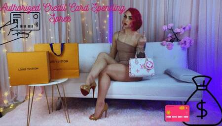 Authorized Credit Card Spending Spree - WMV