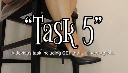 Task 5