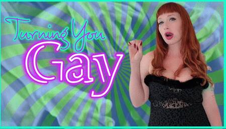 Turning You Gay WMV
