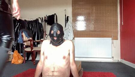 Domination & Humiliation