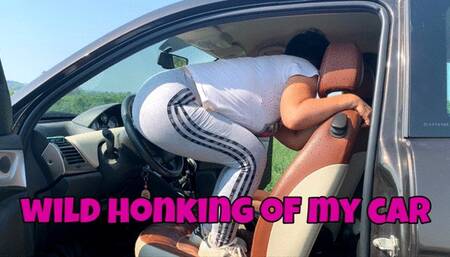 Wild honking of my car