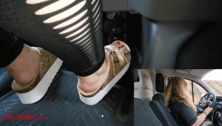 Mila - New car of the roommate - colors of california (view02)