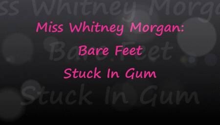 Whitney Morgan: Bare Feet Stuck In Gum - wmv