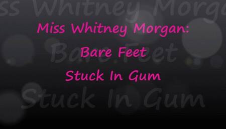 Whitney Morgan: Bare Feet Stuck In Gum - mp4